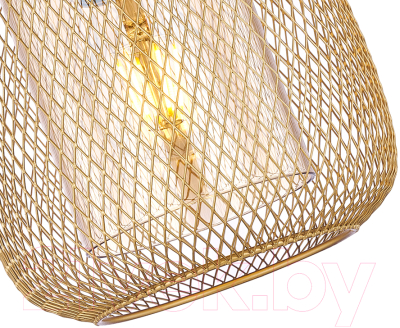 Потолочный светильник F-Promo 4348-1P