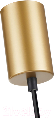 Потолочный светильник F-Promo 4348-1P