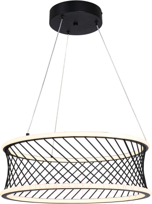 Потолочный светильник F-Promo 4436-2P - фото