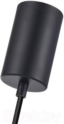 Потолочный светильник F-Promo 4353-1P