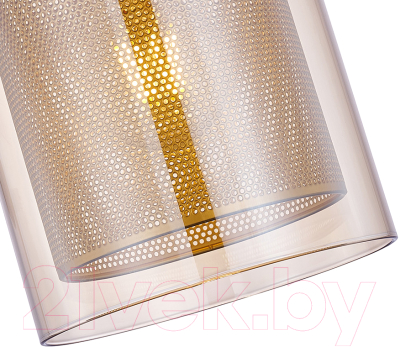 Потолочный светильник F-Promo 4346-1P