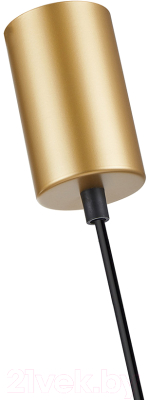 Потолочный светильник F-Promo 4346-1P