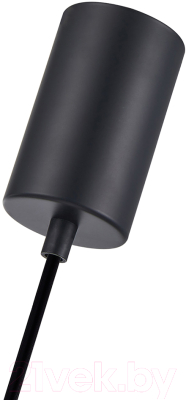 Потолочный светильник F-Promo 4361-1P