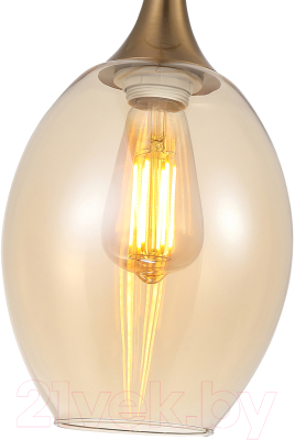 Потолочный светильник F-Promo 4360-1P