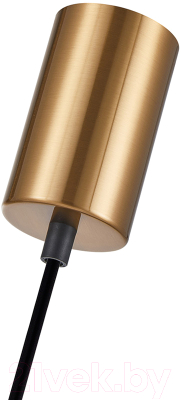 Потолочный светильник F-Promo 4360-1P