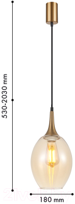 Потолочный светильник F-Promo 4360-1P