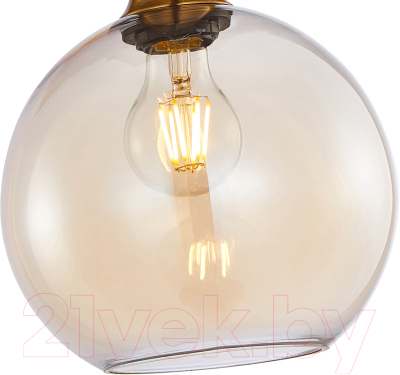 Потолочный светильник F-Promo 4354-1P