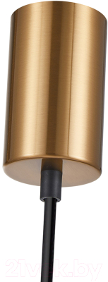 Потолочный светильник F-Promo 4354-1P