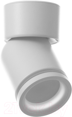 Потолочный светильник BayerLux Босни / 9909630 - фото