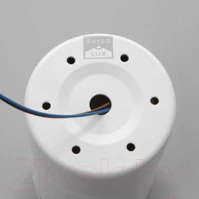 Потолочный светильник BayerLux Босни / 9909630