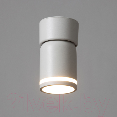 Потолочный светильник BayerLux Босни / 9909630