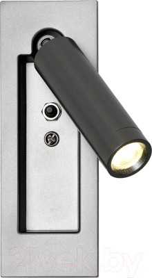 Спот FAVOURITE 4496-1W - фото