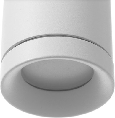 Спот BayerLux Делси / 9909631