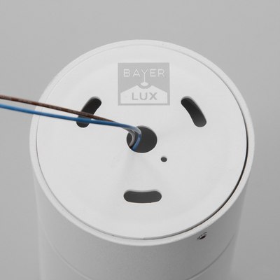 Спот BayerLux Нелси / 9909629