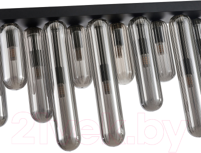 Люстра FAVOURITE 4454-12P