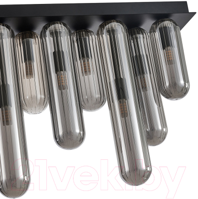 Люстра FAVOURITE 4454-12P