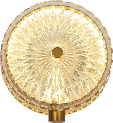 Светильник FAVOURITE 4488-1W - фото