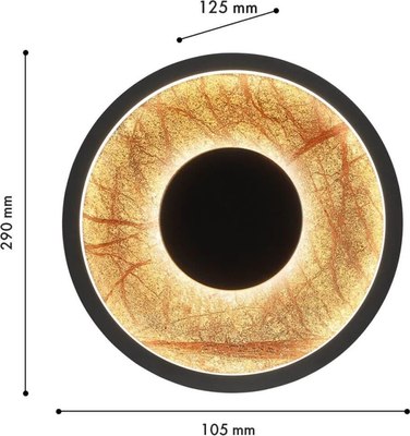 Светильник FAVOURITE 4445-1W