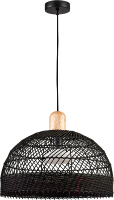 Потолочный светильник FAVOURITE 4461-1P - фото