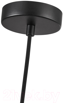 Потолочный светильник FAVOURITE 4461-1P