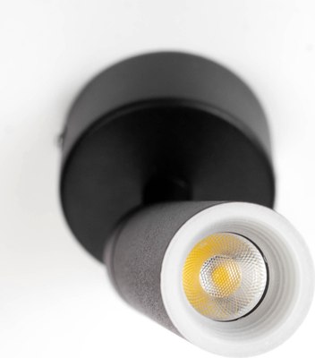 Спот BayerLux Антри / 9214773