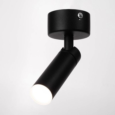 Спот BayerLux Антри / 9214773