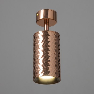 Спот BayerLux Астер / 9909588