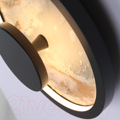 Светильник FAVOURITE 4446-1W