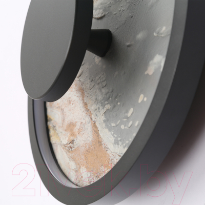 Светильник FAVOURITE 4446-1W