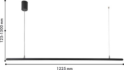 Потолочный светильник FAVOURITE 4486-1P