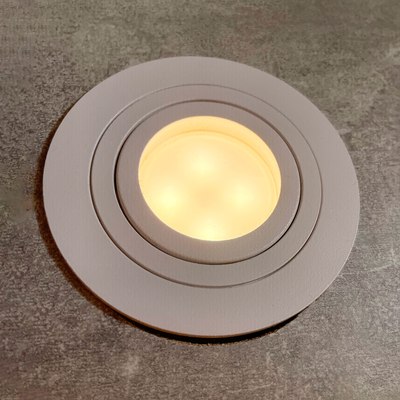 Точечный светильник FAVOURITE 4541-1C