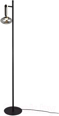 Торшер FAVOURITE 4284-1F - фото