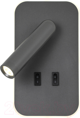 Спот FAVOURITE 4499-2W - фото