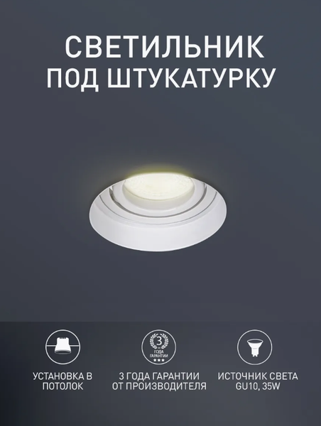 Точечный светильник FAVOURITE 4533-1C