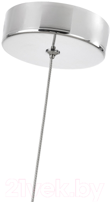 Потолочный светильник FAVOURITE 4453-1P