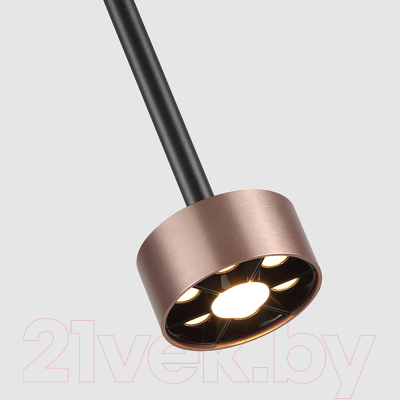 Потолочный светильник FAVOURITE 4319-1P