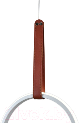 Потолочный светильник ESCADA 10295/1LED