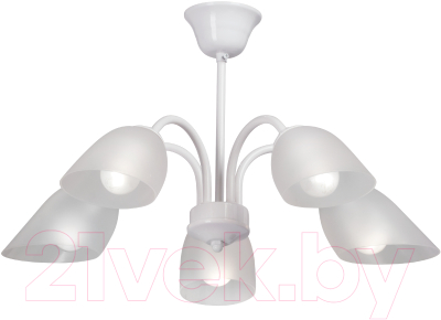 Люстра Vitaluce V33360-0/5PL - фото