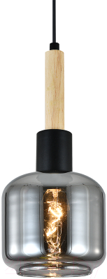 Потолочный светильник ESCADA 1109/1S