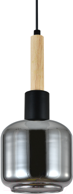 Потолочный светильник ESCADA 1109/1S