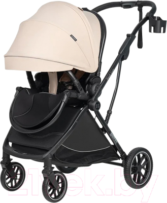 Детская прогулочная коляска Farfello Fest Lux / FL-10 - фото