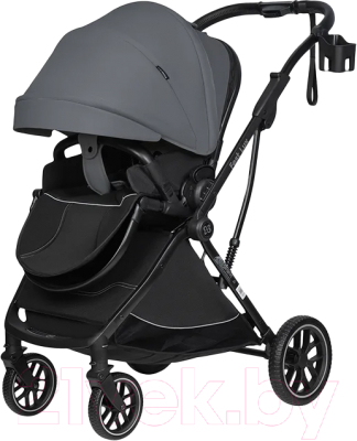 Детская прогулочная коляска Farfello Fest Lux / FL-11 - фото