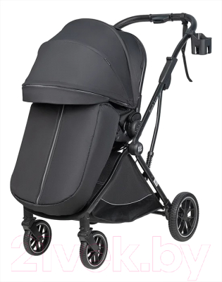 Детская прогулочная коляска Farfello Fest Lux / FL-12