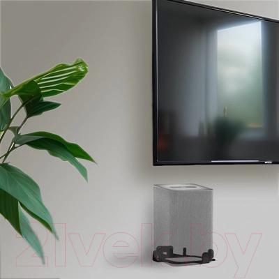 Кронштейн под аппаратуру Rexant Для Яндекс Станции 2 38-0621