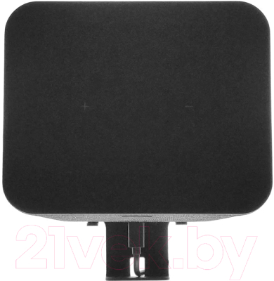 Кронштейн под аппаратуру Rexant Для Яндекс Станции 2 38-0621