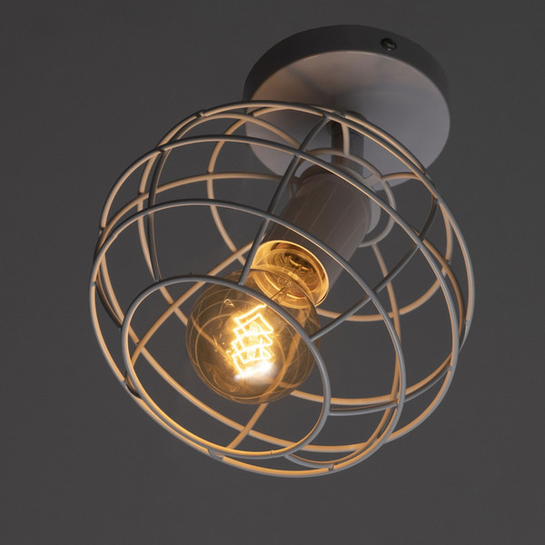 Спот BayerLux Нола / 9951759