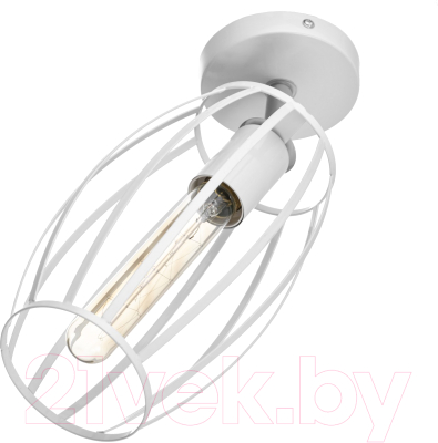 Спот BayerLux Овал / 9951755