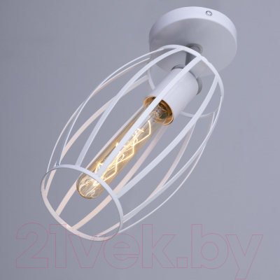 Спот BayerLux Овал / 9951755