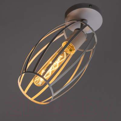 Спот BayerLux Овал / 9951755