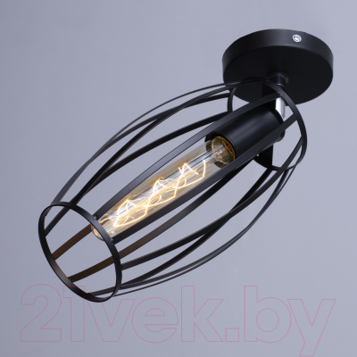 Спот BayerLux Овал / 9951754